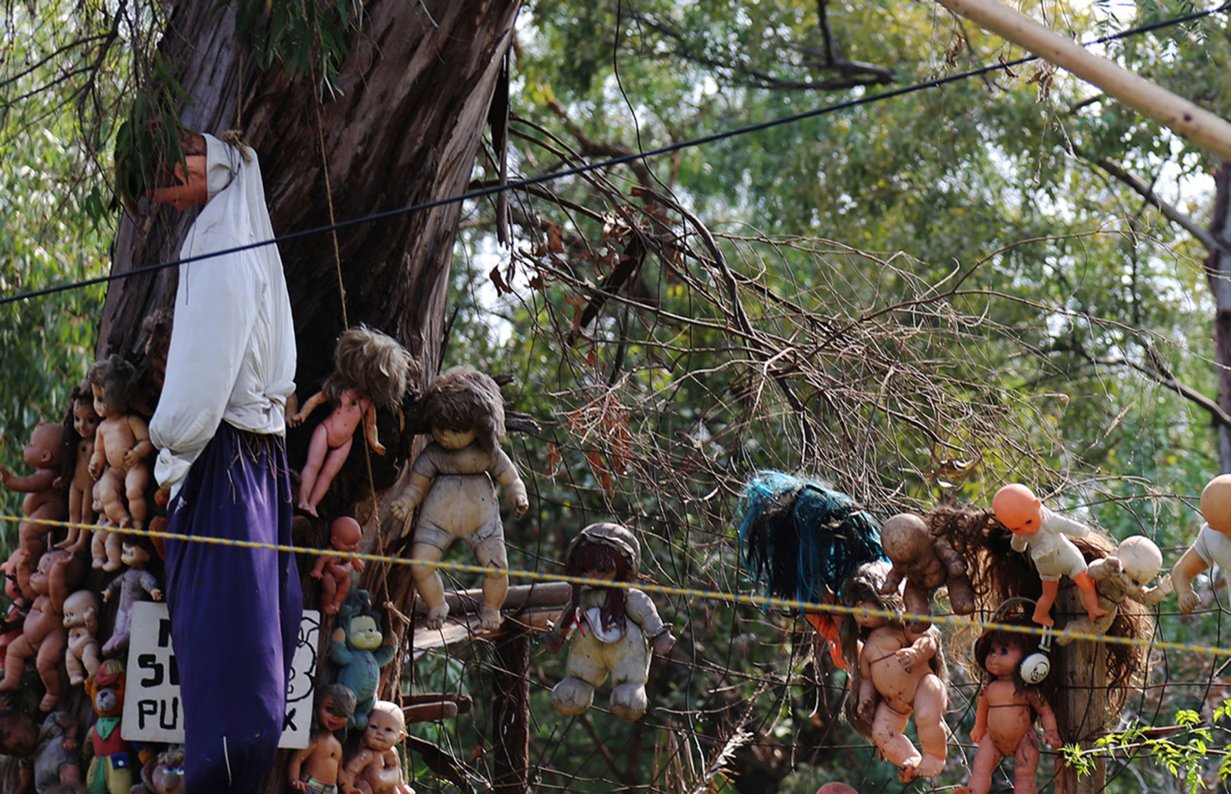 The Island of Dolls, Mexico